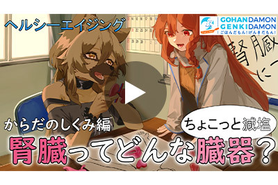 ちょこっと減塩アドバイス動画 ⑨腎臓